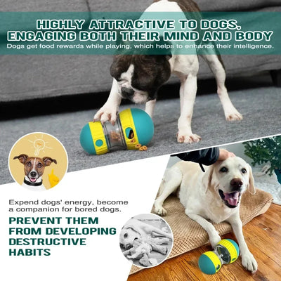 Toy for Dogs