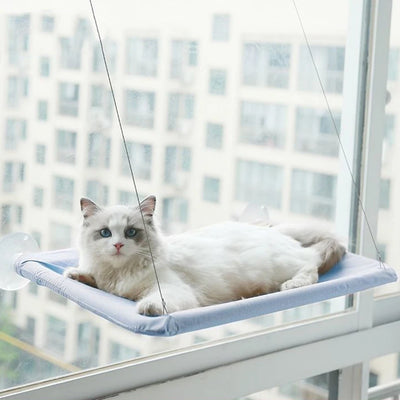 Cat Window Seat