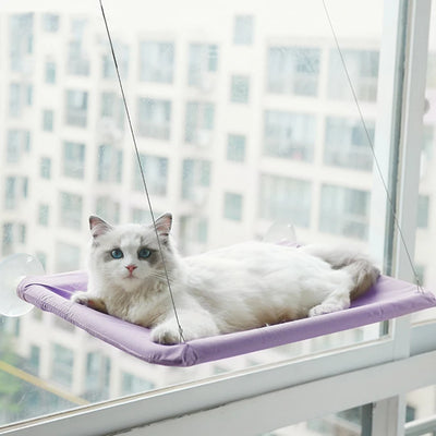 Cat Window Seat