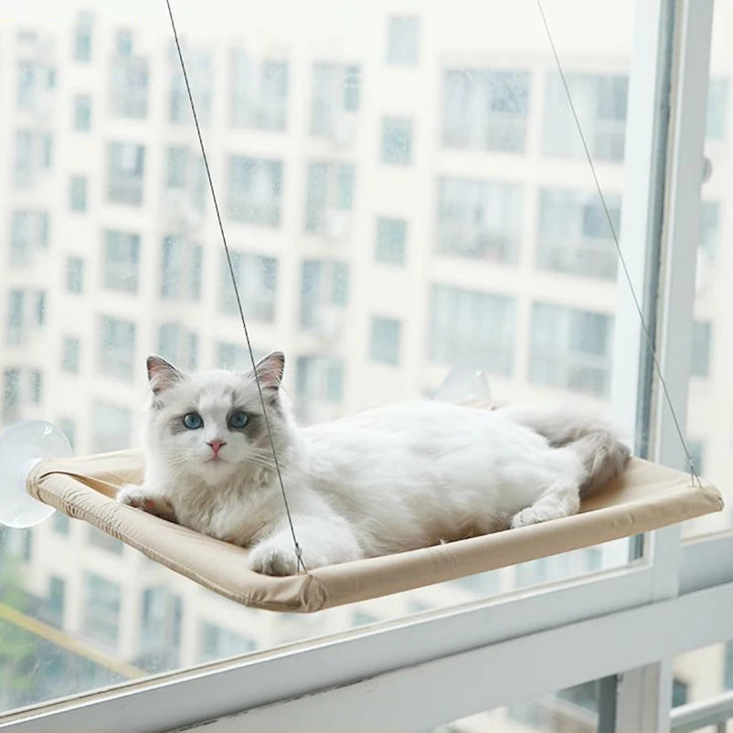 Cat Window Seat