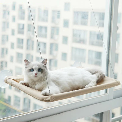 Cat Window Seat