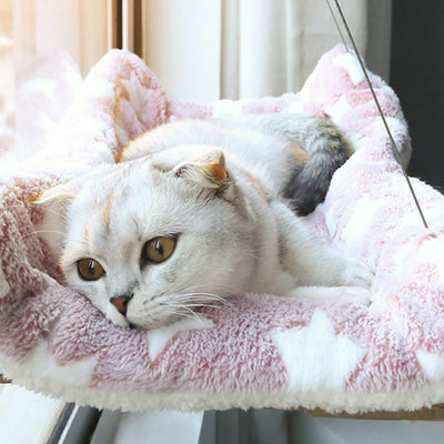 Cat Window Seat