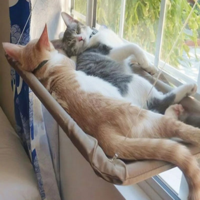 Cat Window Seat