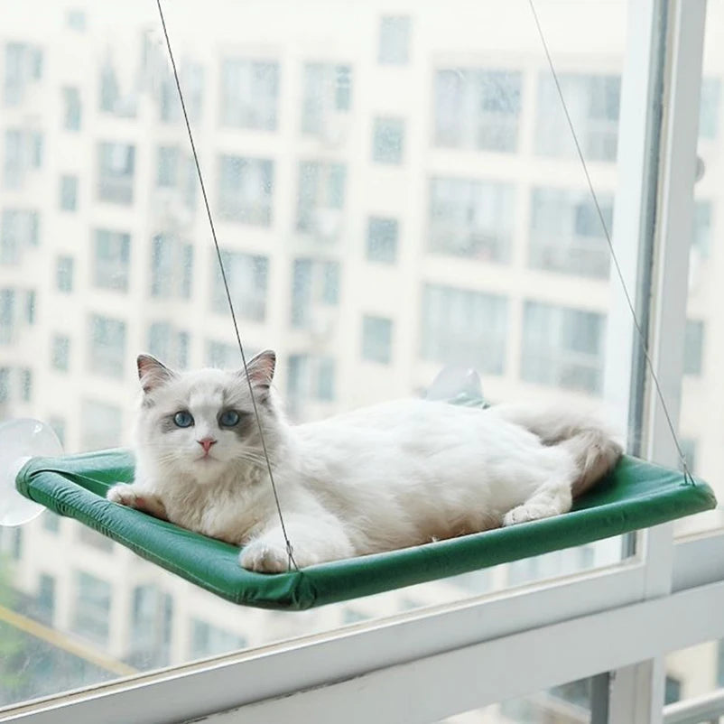 Cat Window Seat