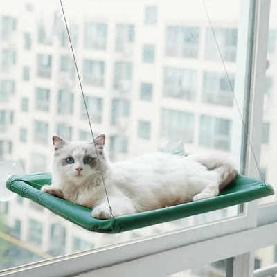 Cat Window Seat